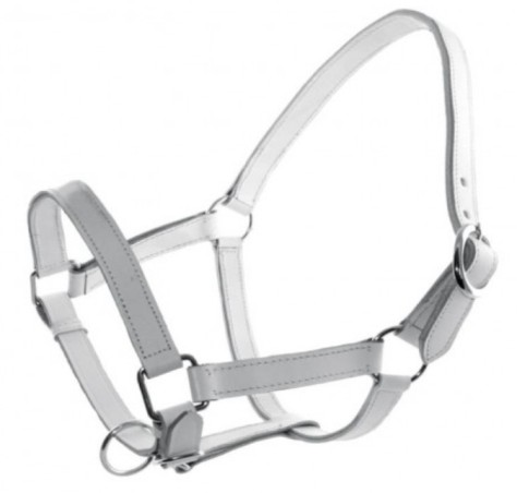 Leather Chrome halter 